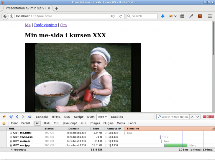 En webbsida med enbart statiska resurser serverade av Express.